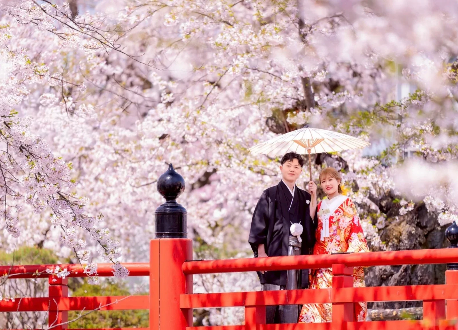 桜に包まれた弘前公園の赤い橋で、和傘を差す和装の新郎新婦