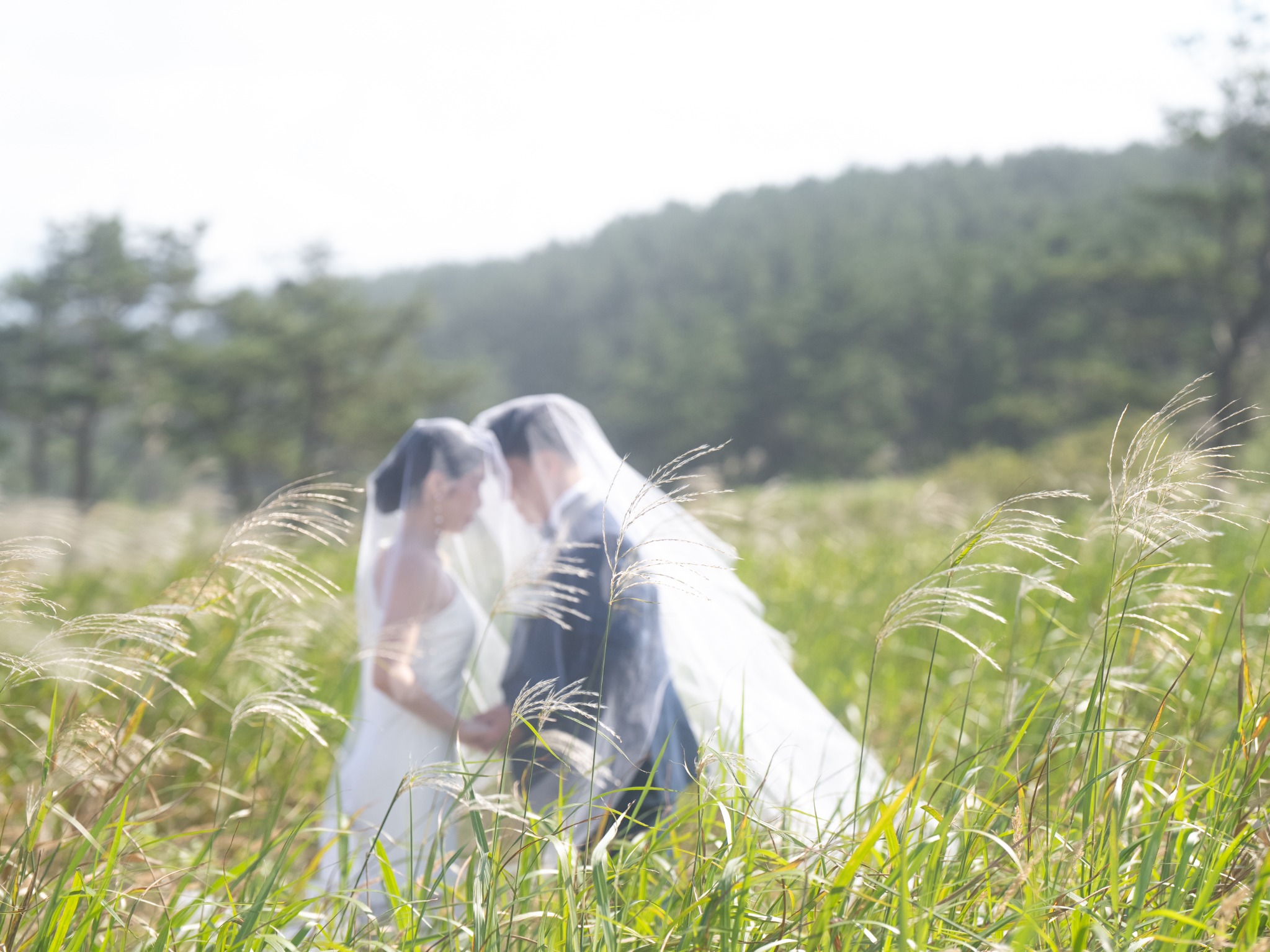 すすきと柔らかな光に包まれ、ベールの中で寄り添う新郎新婦