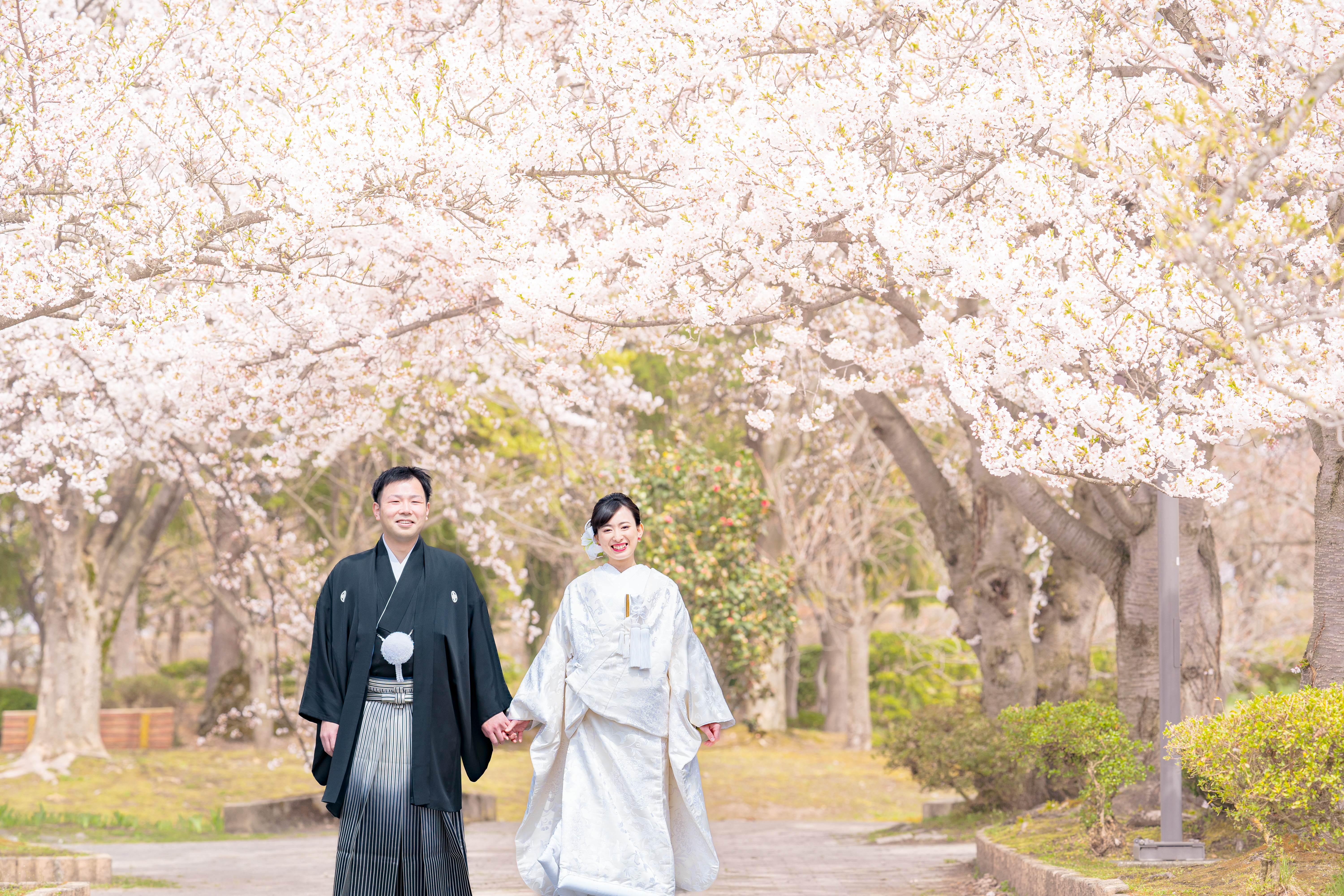 さくらフォトウェディング