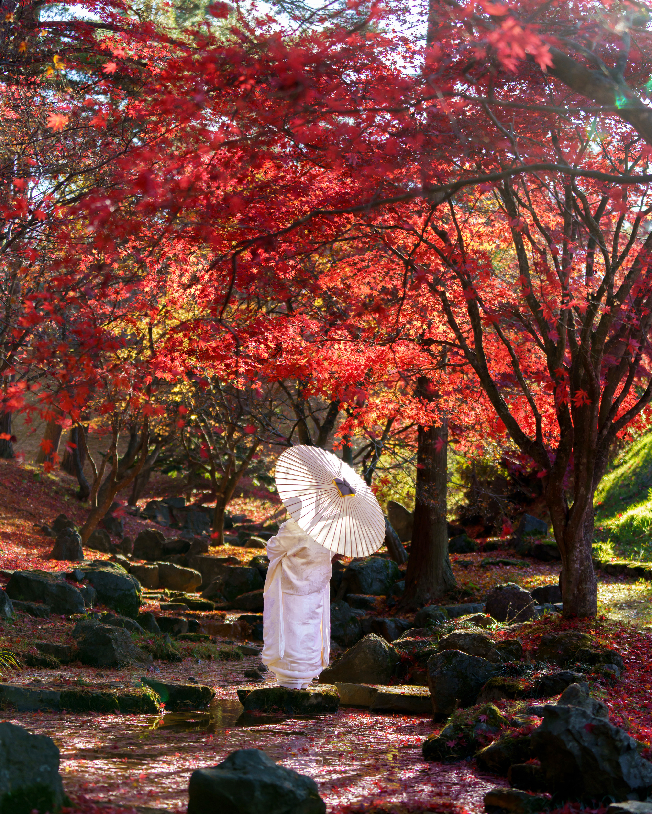 1792AEF2-200B-4F73-8EBA-18AE50CA4E77