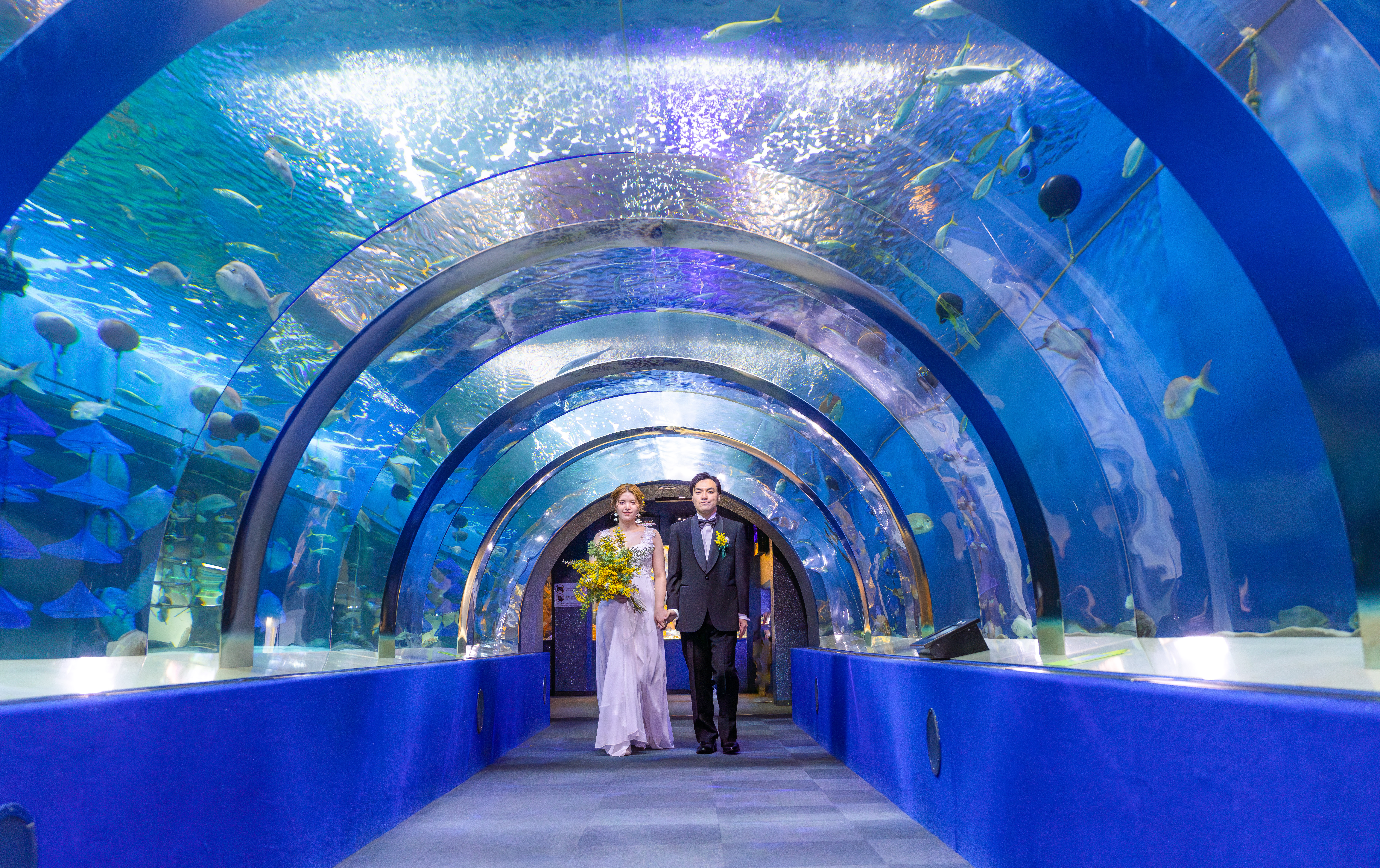 DSC07485-強化-NR-Edit