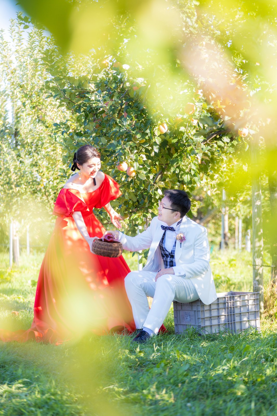 りんご畑でかごを持つ赤いドレスの花嫁と座って見上げる白い衣装の新郎